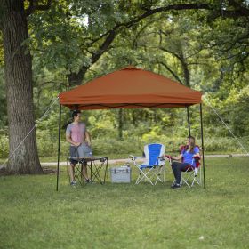 10' x 10' Navy Instant Outdoor Canopy (Material: polyester, Color: Brown)